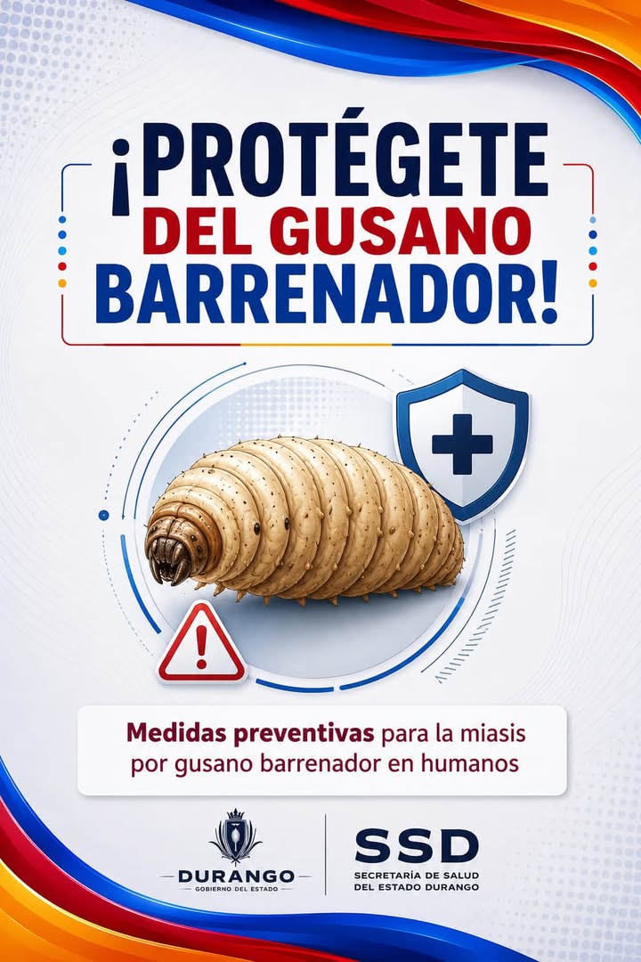 Infórmate y previene afectaciones del gusano barrenador ⚠️⬇️