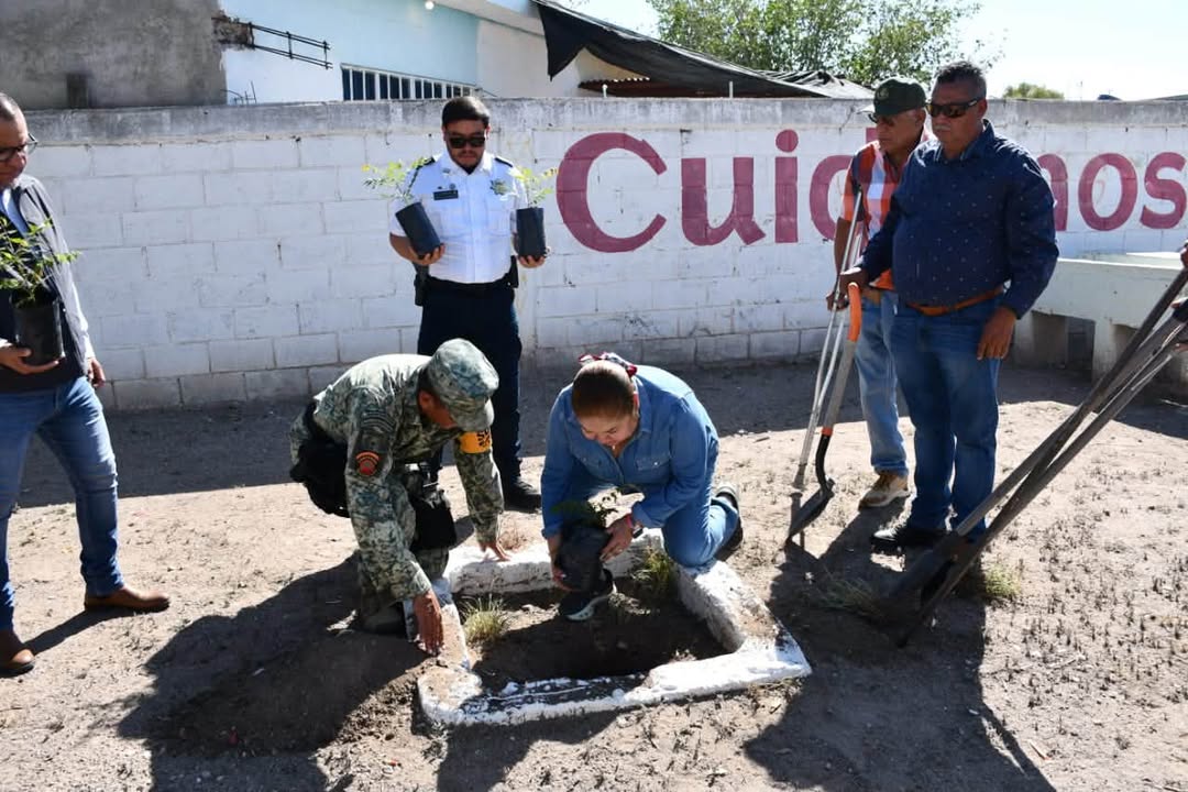 🌳♻️ El Parque •La Ilusión• fue el punto de encuentro para una jornada de reforestación y li...